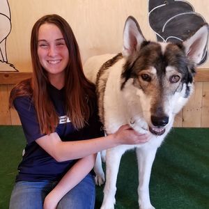 Meet your Posher, Layla